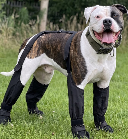 Botines Impermeables para Perros